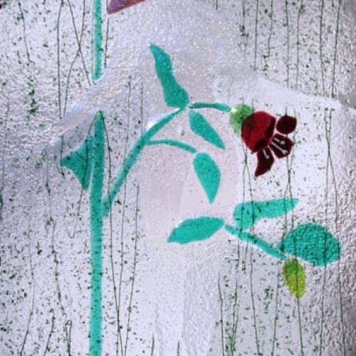 Belladonna