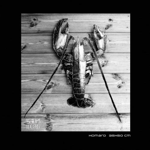 Homard