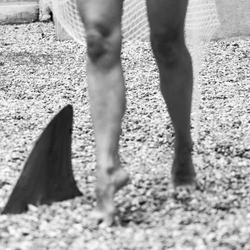 IMG_3610