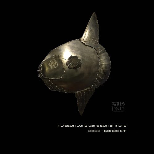 Poisson lune