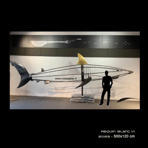 Requin Grand blanc